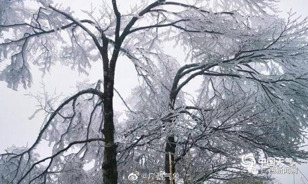 電地暖價格 廣西東北部有霜凍或冰凍，電暖器價格略有上漲，你買好了嗎？